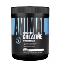 Universal Nutrition Animal 100% Pure Creatine Monohydrate 300g