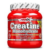 Креатин моногидрат Amix Creatine Monohydrate Micronized 300g