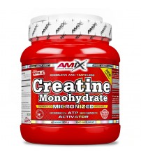 Креатин моногідрат Amix Creatine Monohydrate Micronized 500g